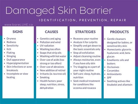 How Long To Repair Skin Barrier