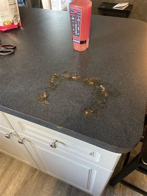 How To Repair Countertop Burn