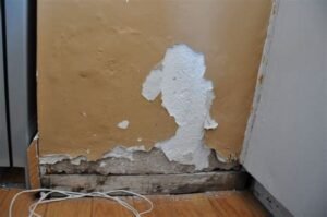 How To Repair Crumbling Plaster Walls - Free Fix & Repair Guide